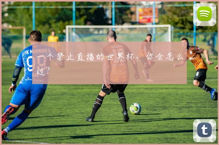 一个禁止直播的世界杯，你会怎么过？