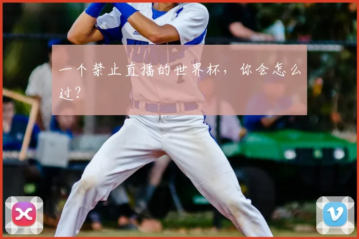 一个禁止直播的世界杯，你会怎么过？